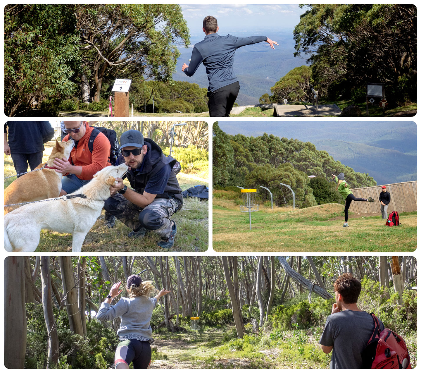 Mt Baw Baw disc golf