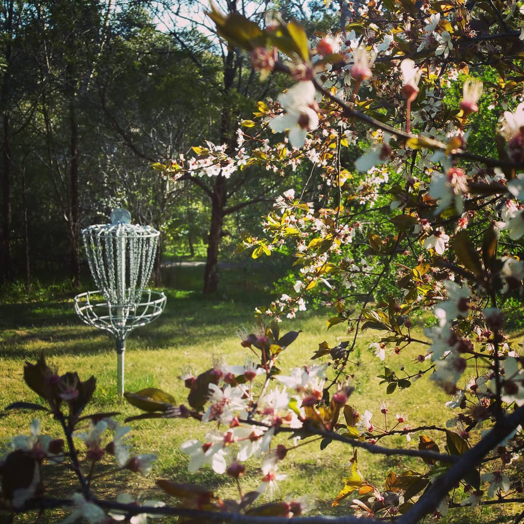 disc golf basket at Ruffey Lake Park