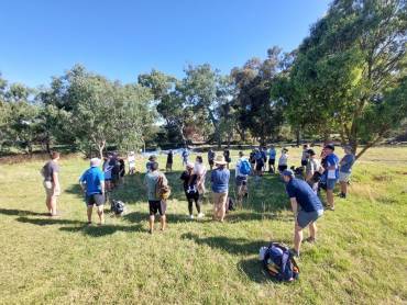 It’s Official… Disc Golf in Royal Park is Gaining Popularity!